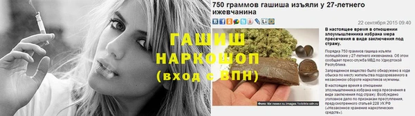 гашик Алексин