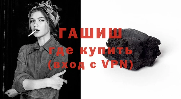 гашик Алексин