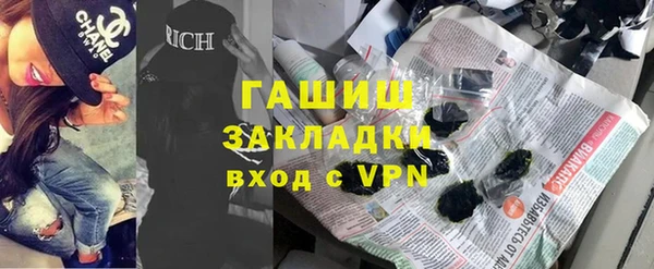 гашик Алексин