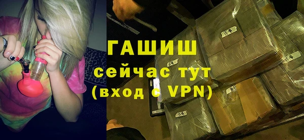 гашик Алексин