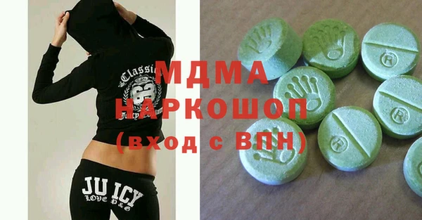 гашик Алексин