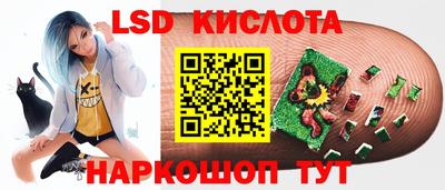 PSILOCYBIN Краснодар