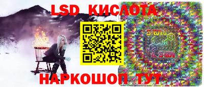 PSILOCYBIN Краснодар