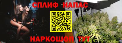PSILOCYBIN Краснодар