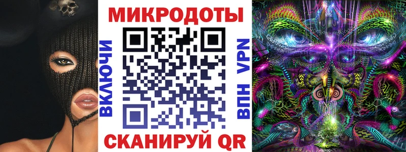 площадка формула  Дубна  Псилоцибиновые грибы Psilocybine cubensis 