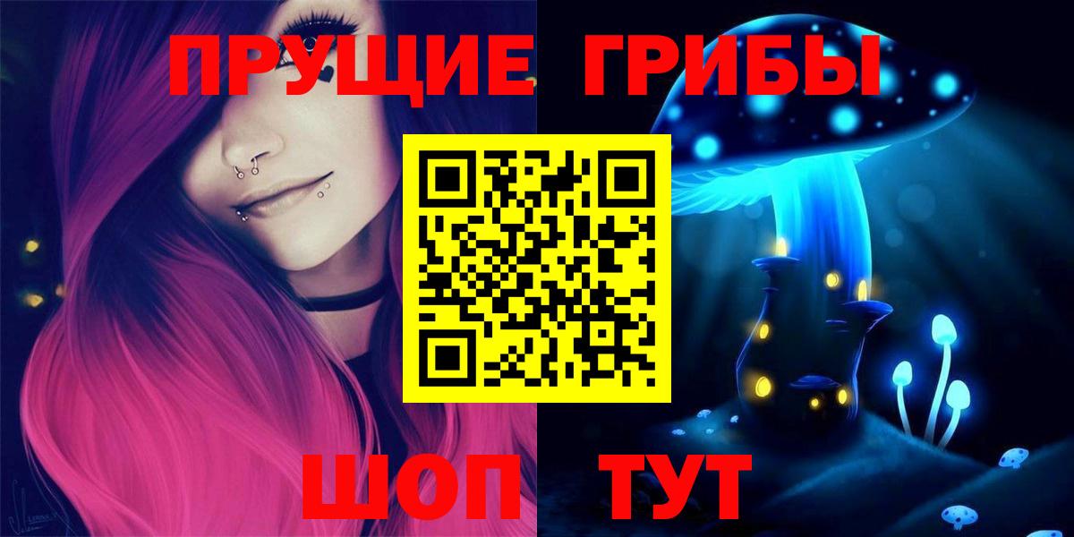 Псилоцибиновые грибы Psilocybe Дубна