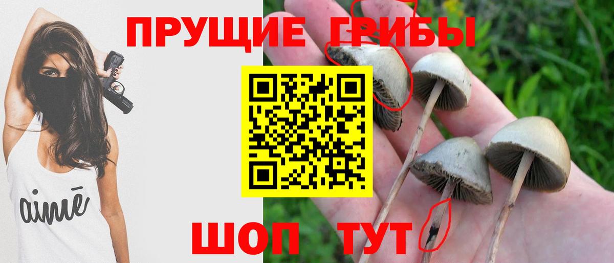 Дубна  Псилоцибиновые грибы ЛСД  Вход с VPN 